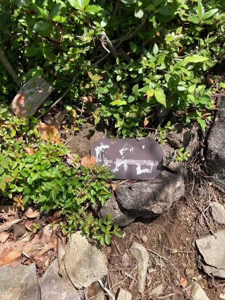 二ノ岳の写真