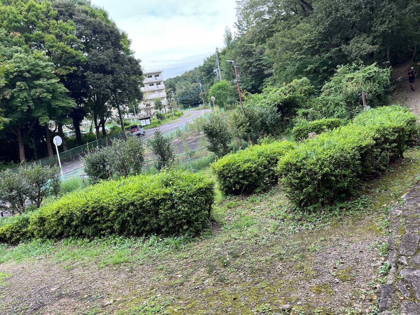道路の横を沿って通るようなルートが続きます
ハイキング気分で登りやすそうです🚶🚶‍♀️
