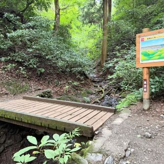 橋を渡る。
