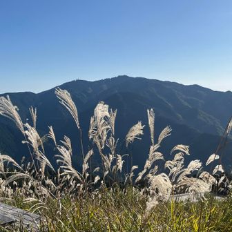 安定の金剛山😍
男前です