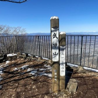 山頂からは遠くのアルプスまで見えました