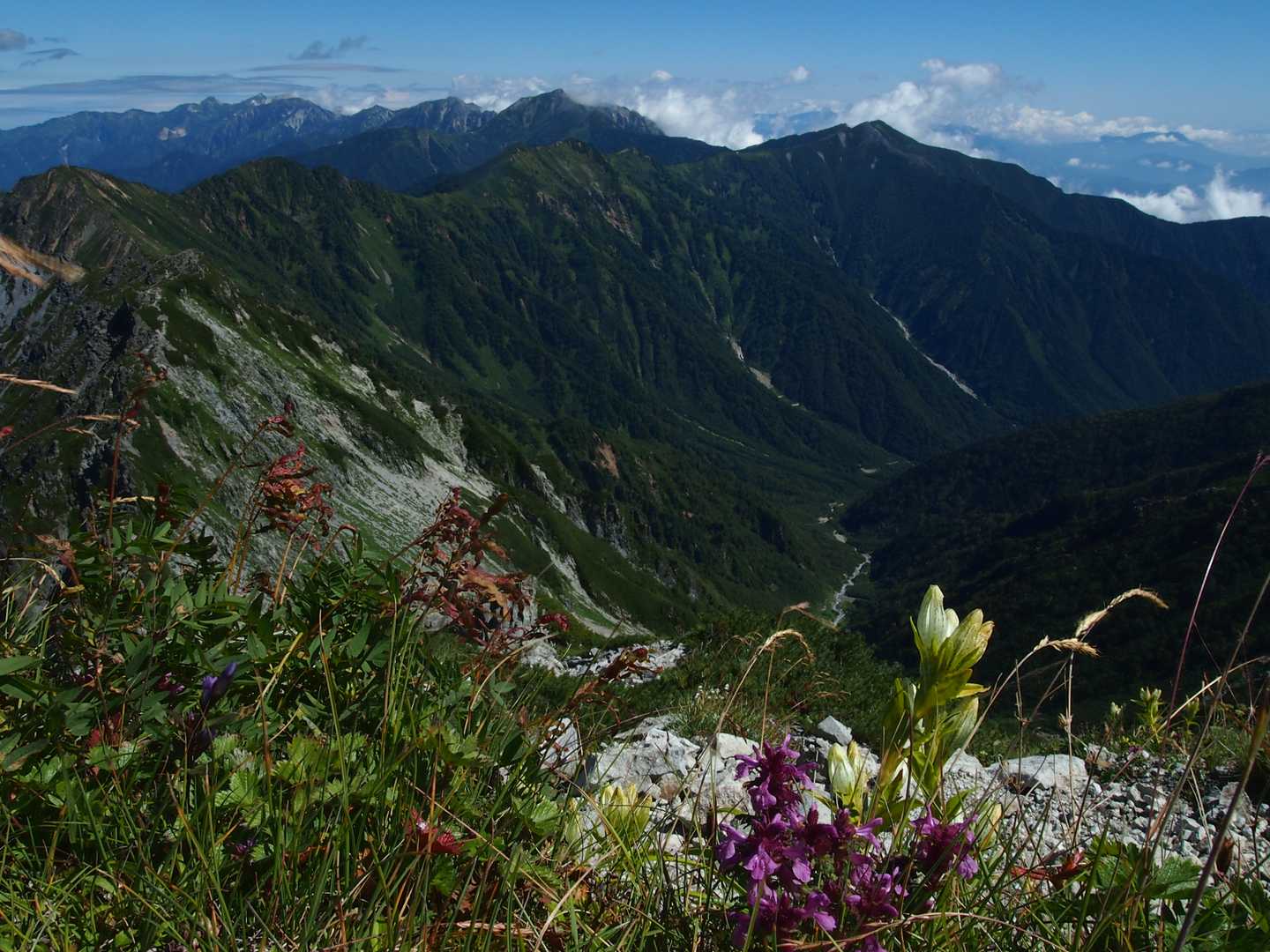 扇沢バス停-針ノ木峠-蓮華岳-針ノ木岳-スバリ岳-赤沢岳- 縦走コースの写真