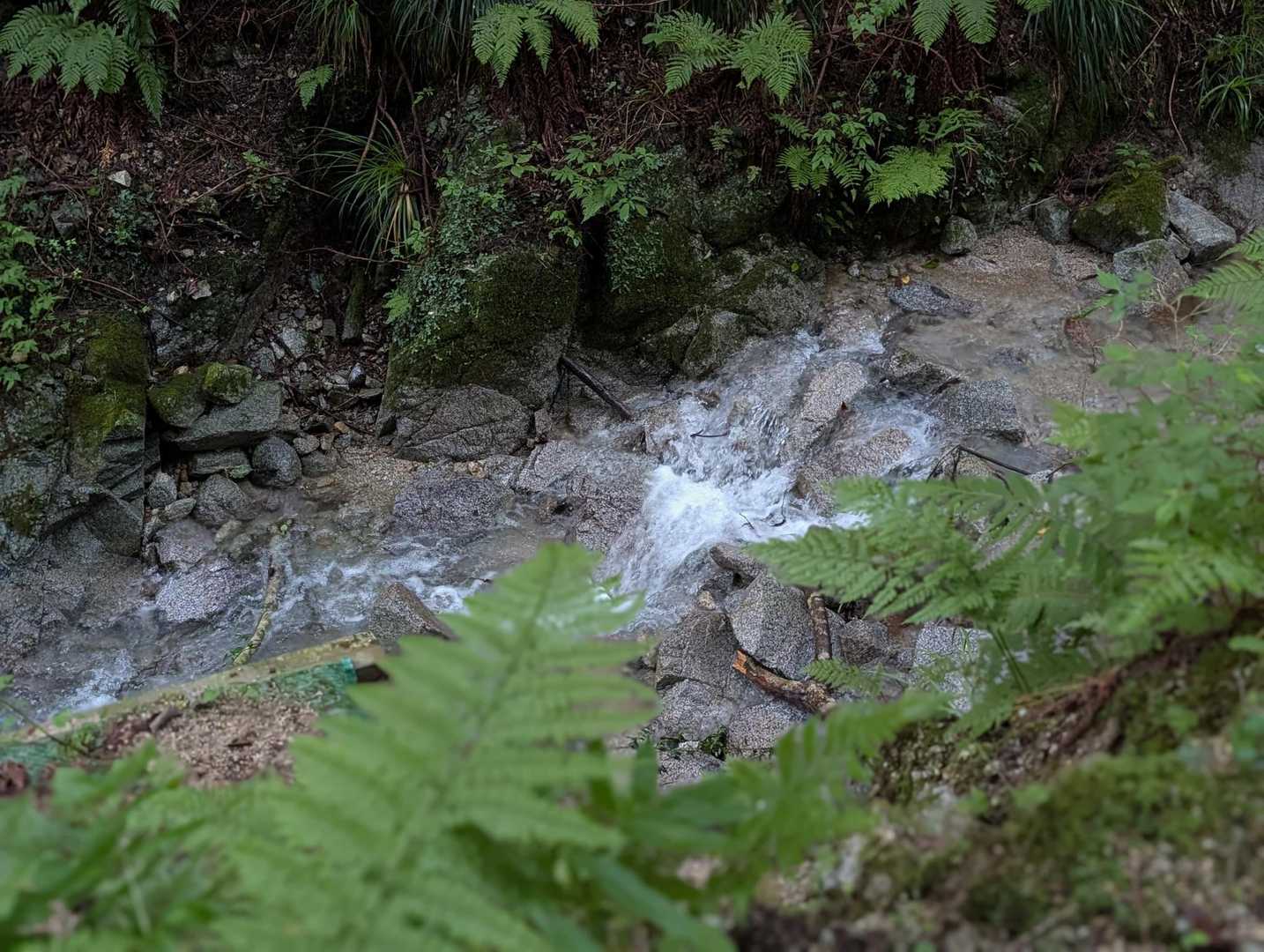 前日の雨で勢いよく流れてます。
水音も癒されますね