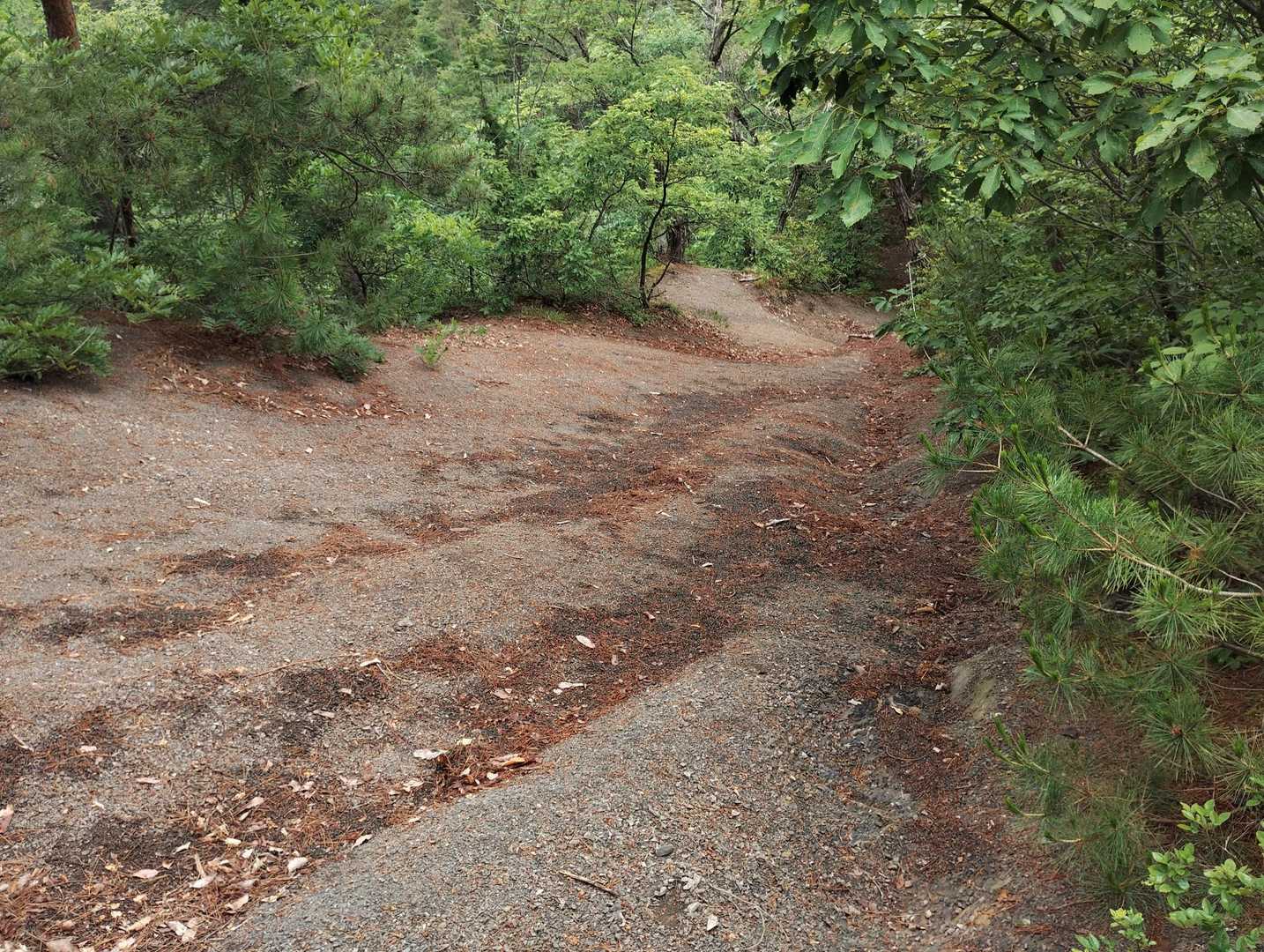 櫓門口登山道入口-本城跡-桝形城山 往復コースの写真