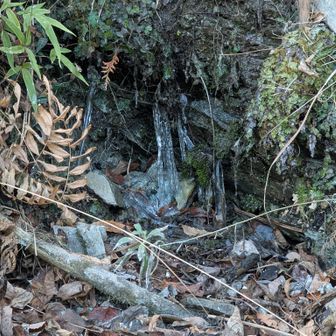 気温は上がっているのですが…
ガチガチに凍っています。