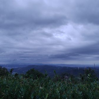 雨降るのかな