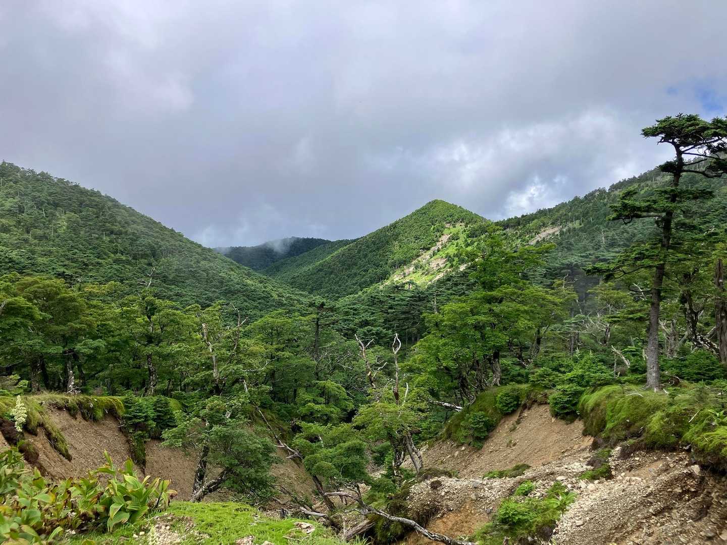 八経ケ岳から弥山へ戻る途中。この谷の先に狼平。
