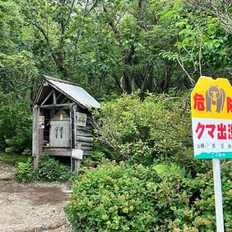 無事下山。🐻は今年出てないんだな