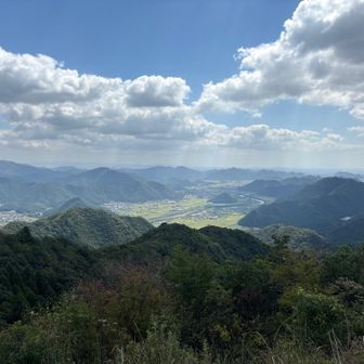 南側。