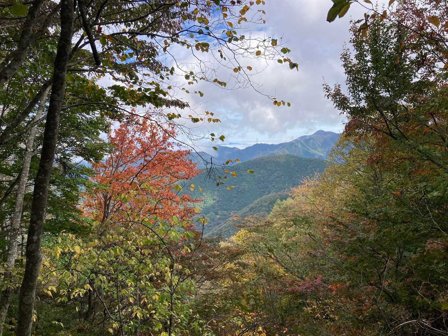 ん〜🍁