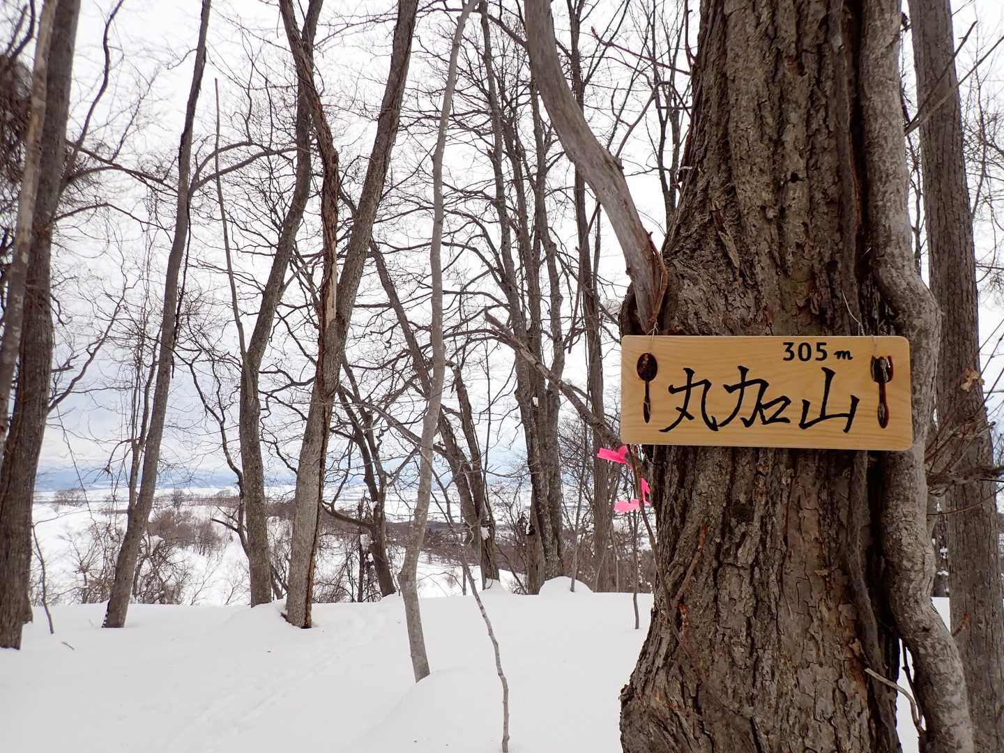 丸加山に標識が❗️