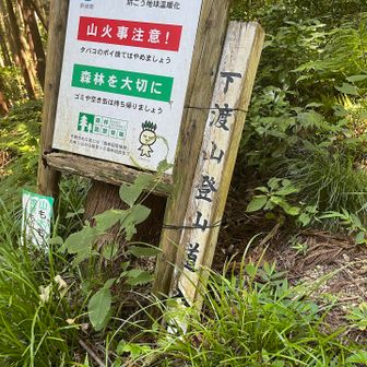 下渡山登山道入口の標識。
下山ルートはほとんど蜘蛛の巣が無かったなぁ…