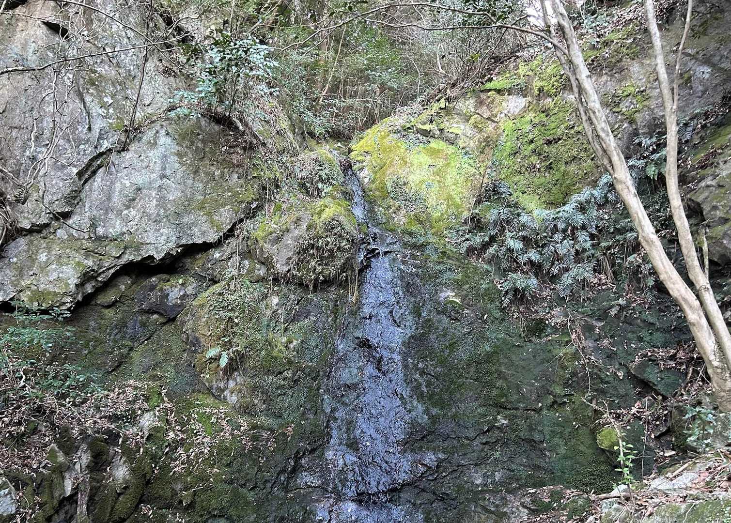 その脇には小さな滝