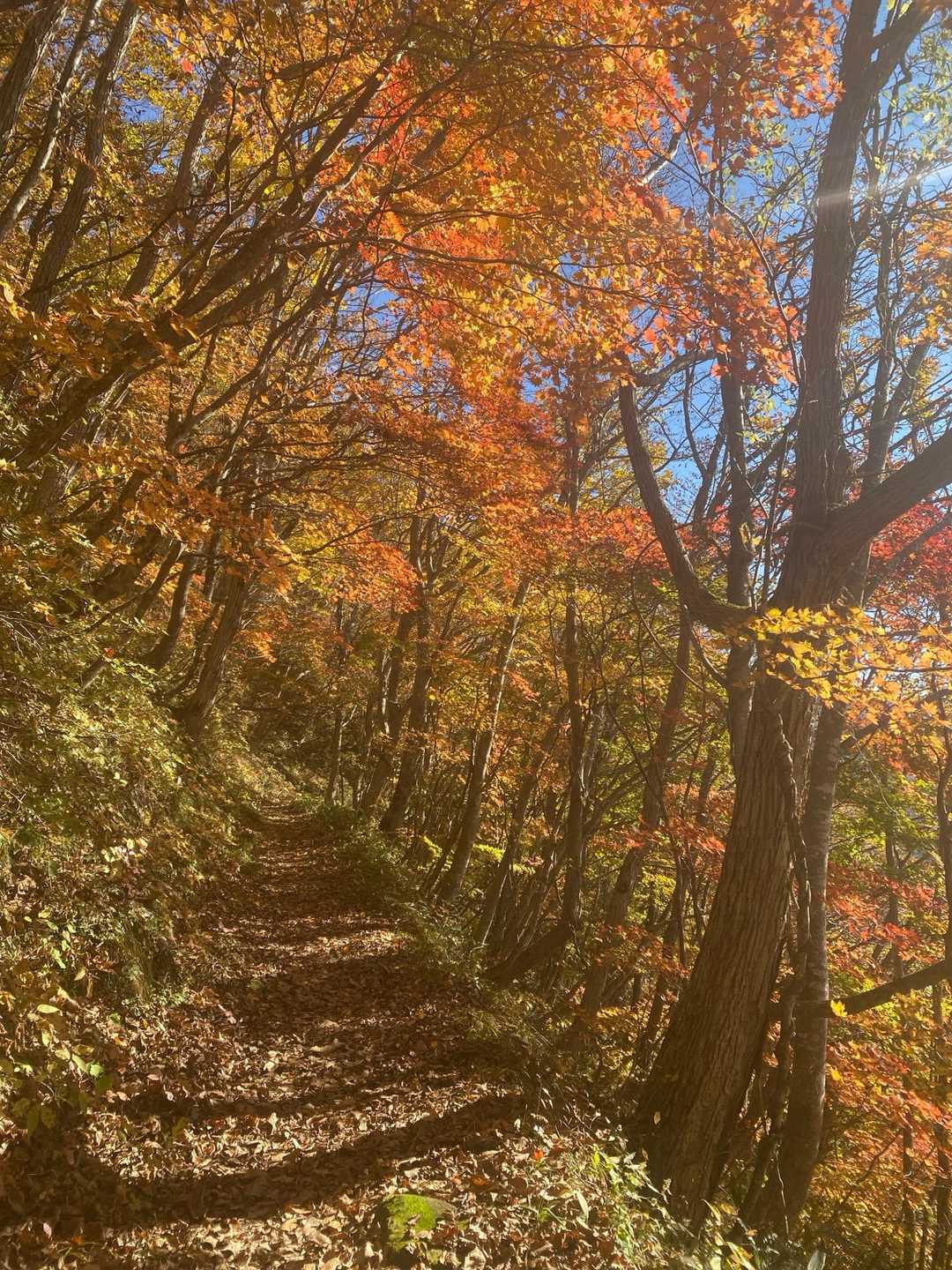 北面白山登山入口-三沢山-面白山 往復コースの写真