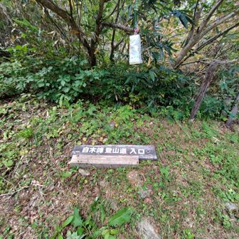 登山口到着
取水口に戻ります
帰りは飛騨から富山に帰りました
行きも帰りも酷道のため車の運転で疲れました🫩
