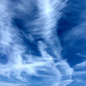 まさに竜巻🌪️