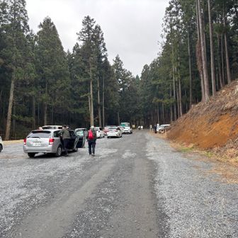 ミツマタ鑑賞だけなら、車で来られます