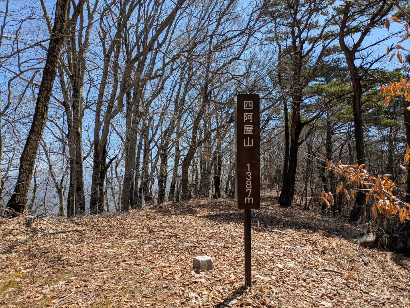 山頂。登山道は各方面からあり。