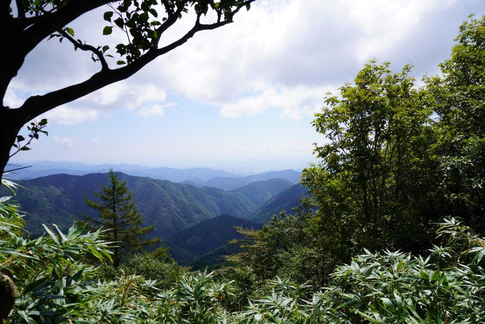景色は良いです👌