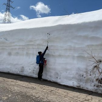 取立山 去年の3倍はあるよねー😳