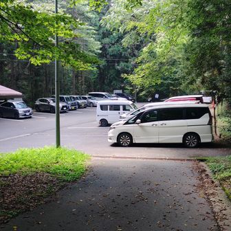 げざーん