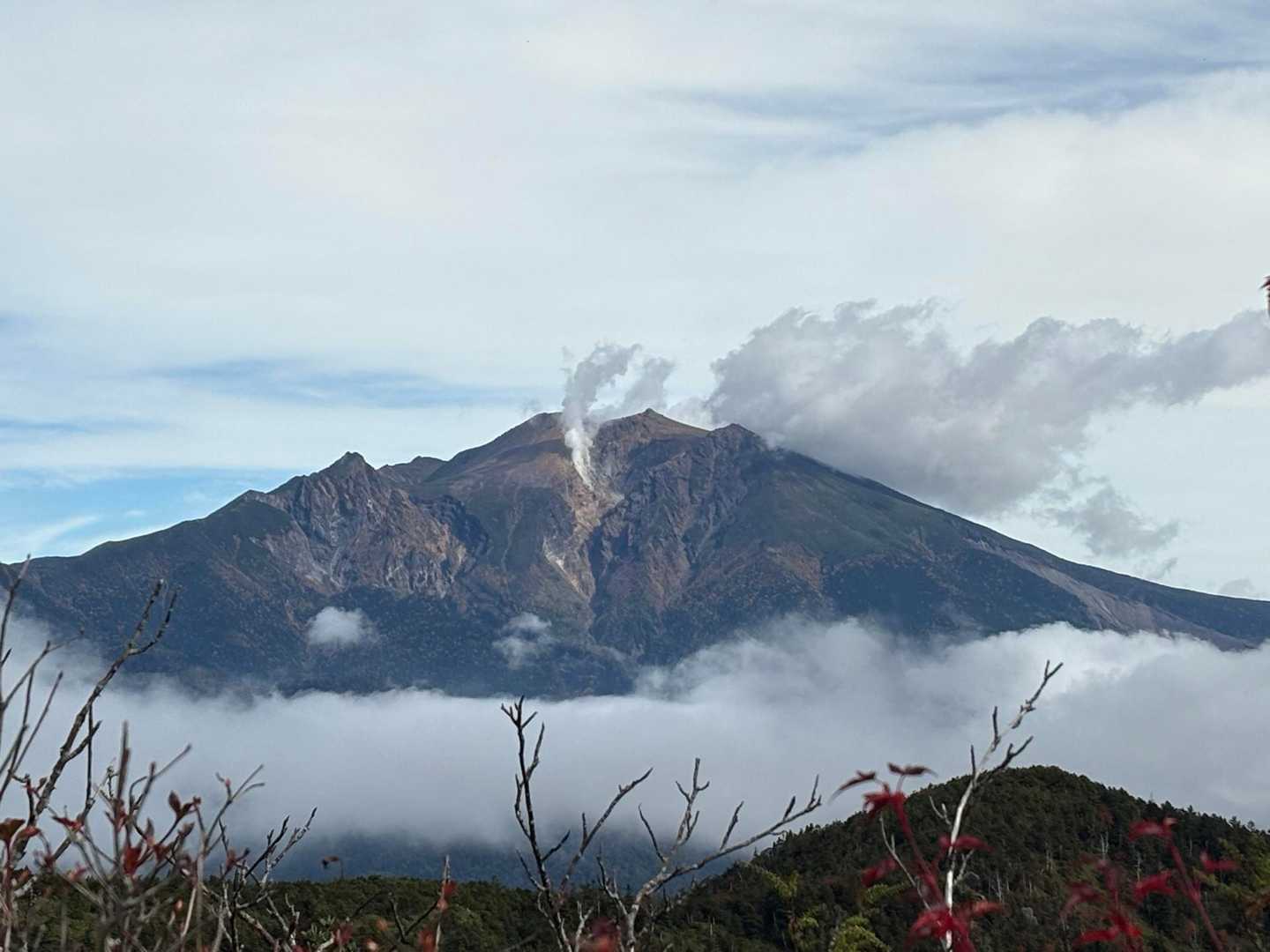 三ノ谷登山口-小秀山 往復コースの写真