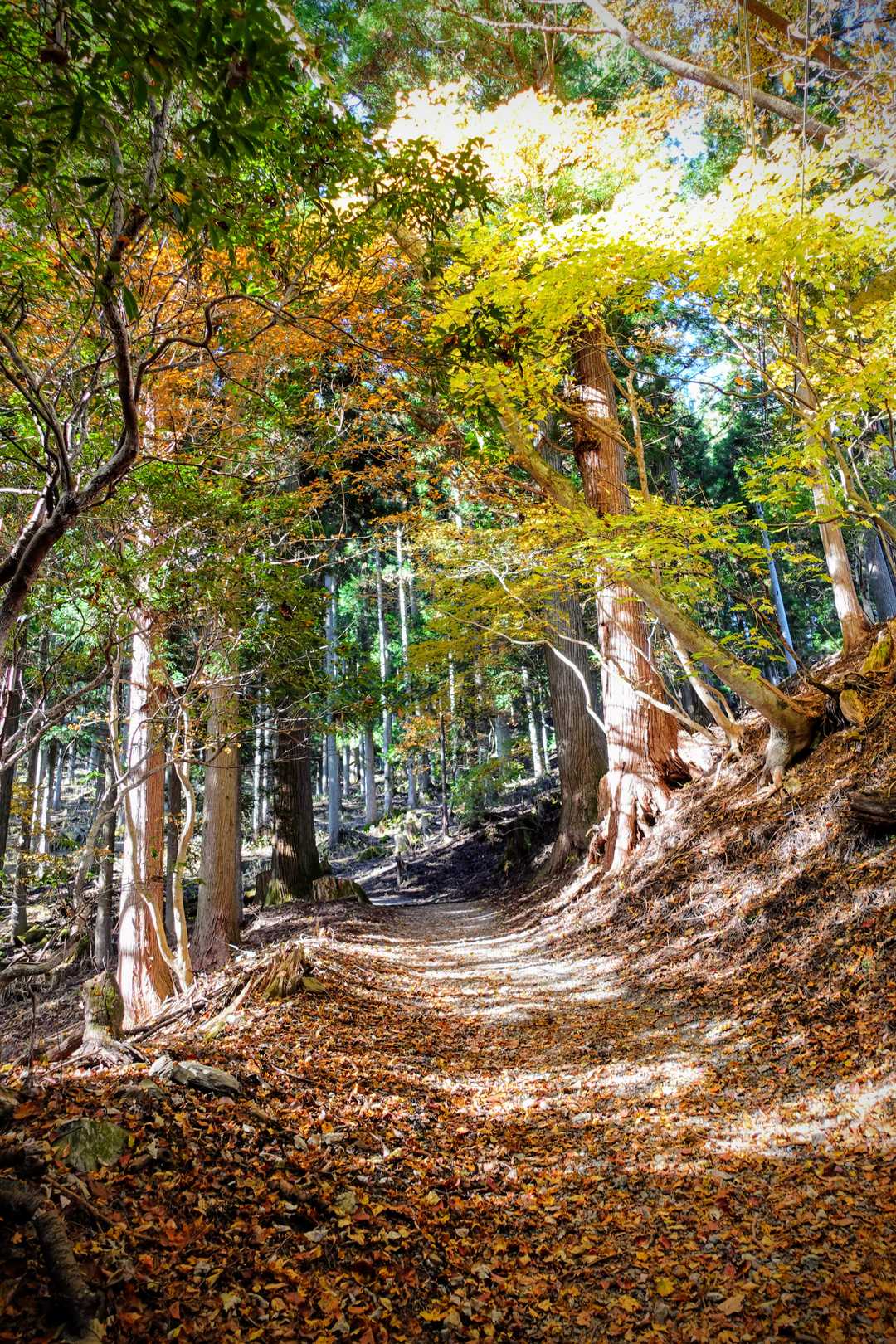 三峯神社 周回コースの写真