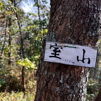 周回コースに戻って
四つめのピーク　眺望なし🤣