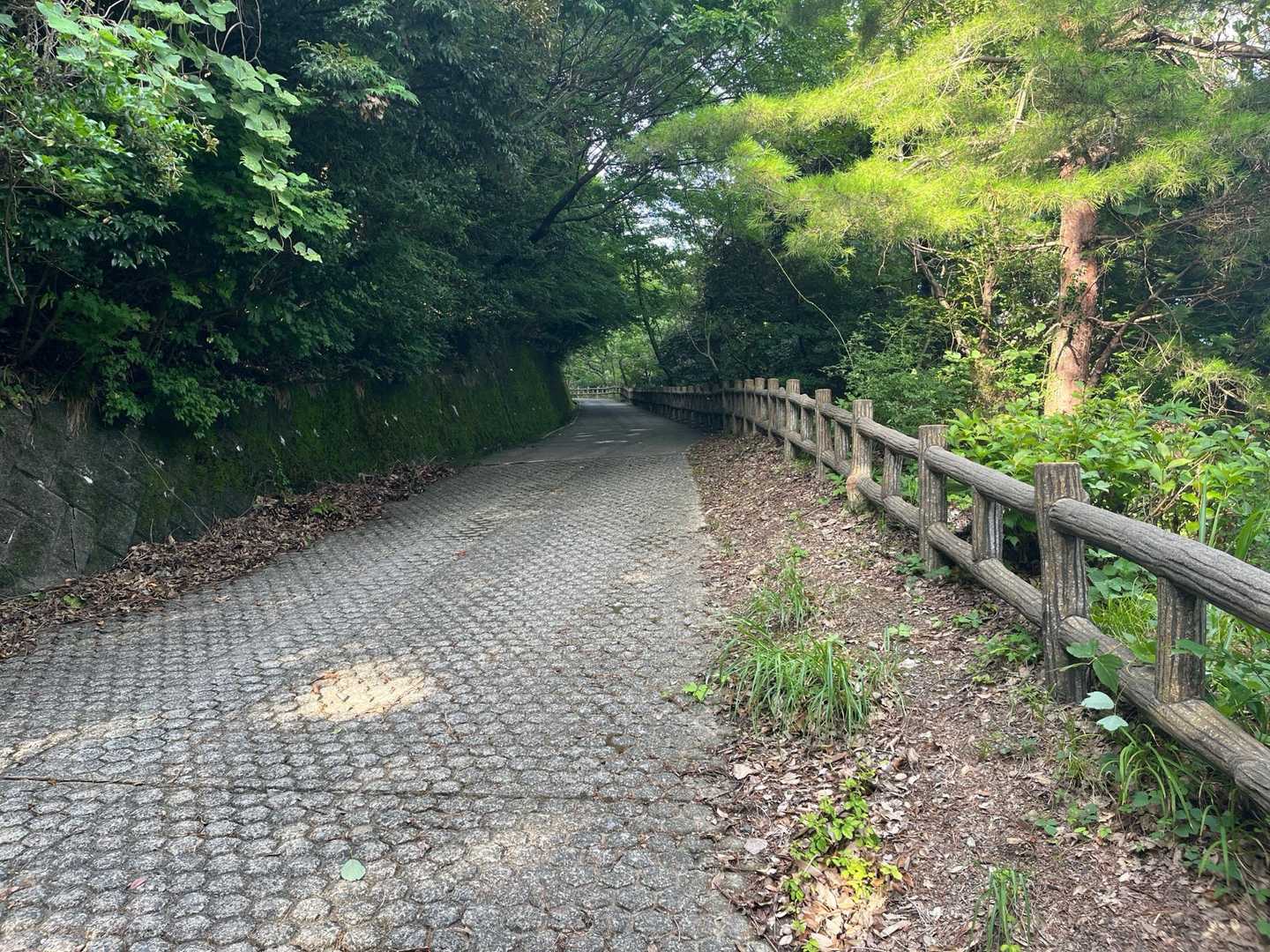 急斜面は運転疲れで走れんでよ。