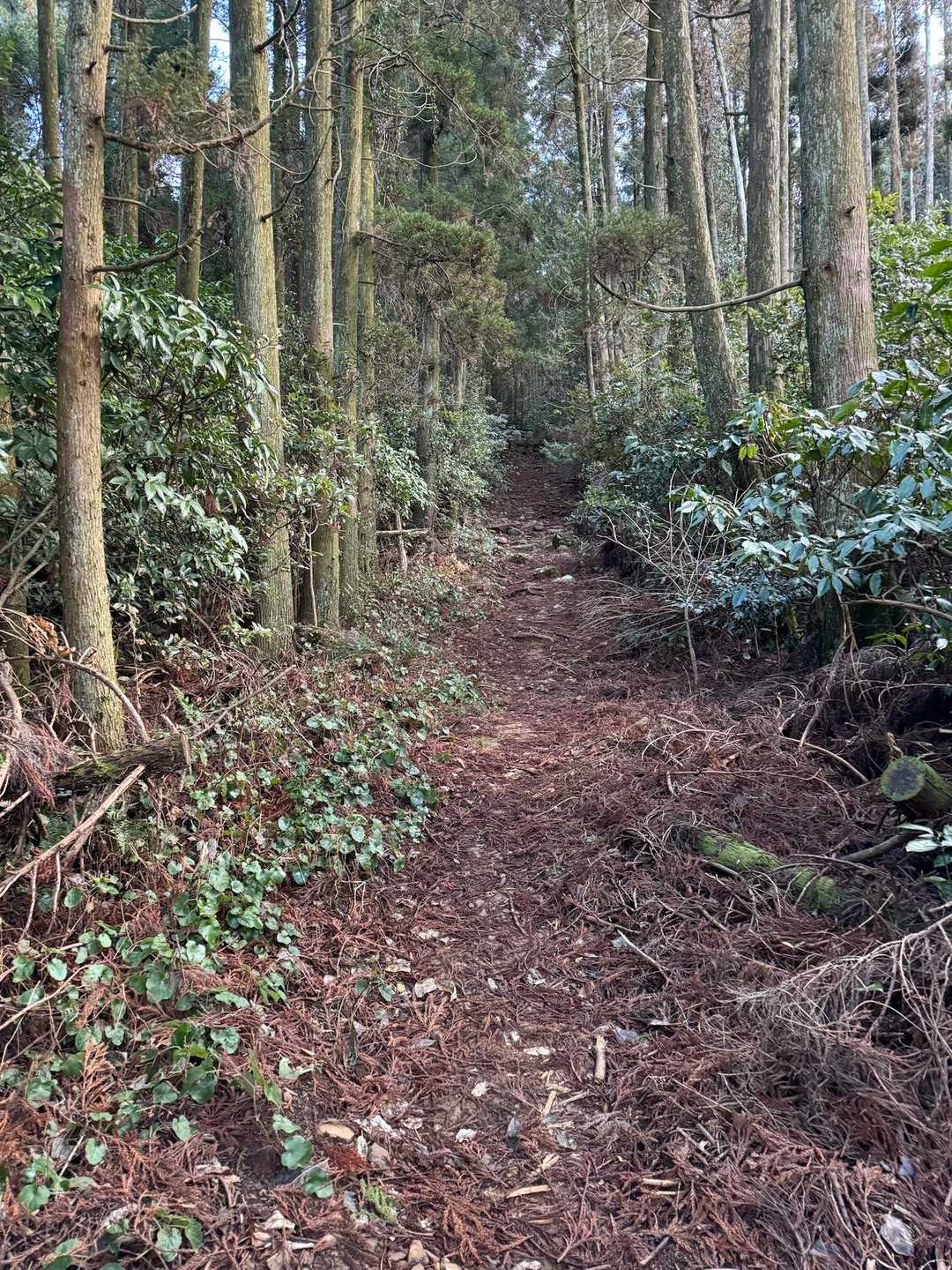 烏帽子岳 往復コースの写真