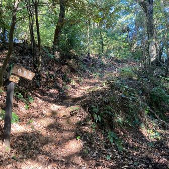 さらに作業道を走って進み…。