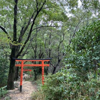 ⛩️