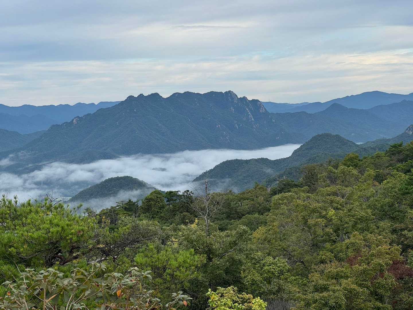 今日の三倉さん⛰