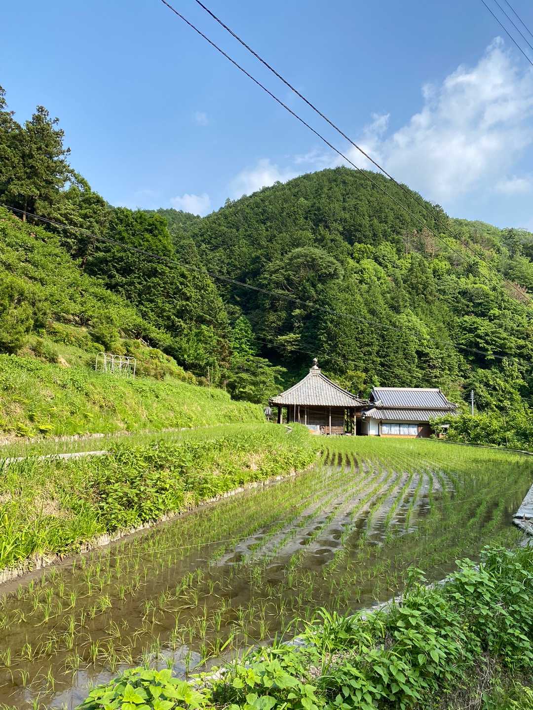不動山登り口-不動山-行者杉-杉尾峠-タンボ山 周回コースの写真