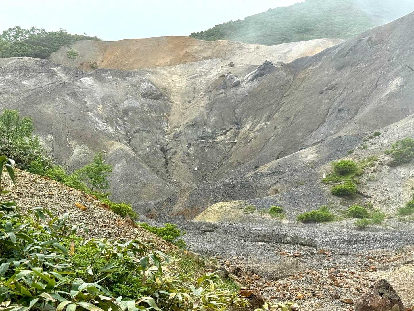 こちらは旧道登山道、私達は新道を進みます🚶‍♀️