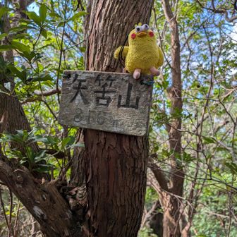 山頂です🙌🙌