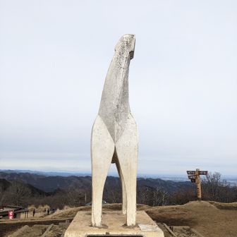 ながつか