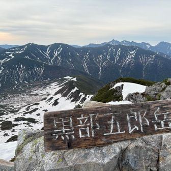居ないのもちゃんと撮りますwww