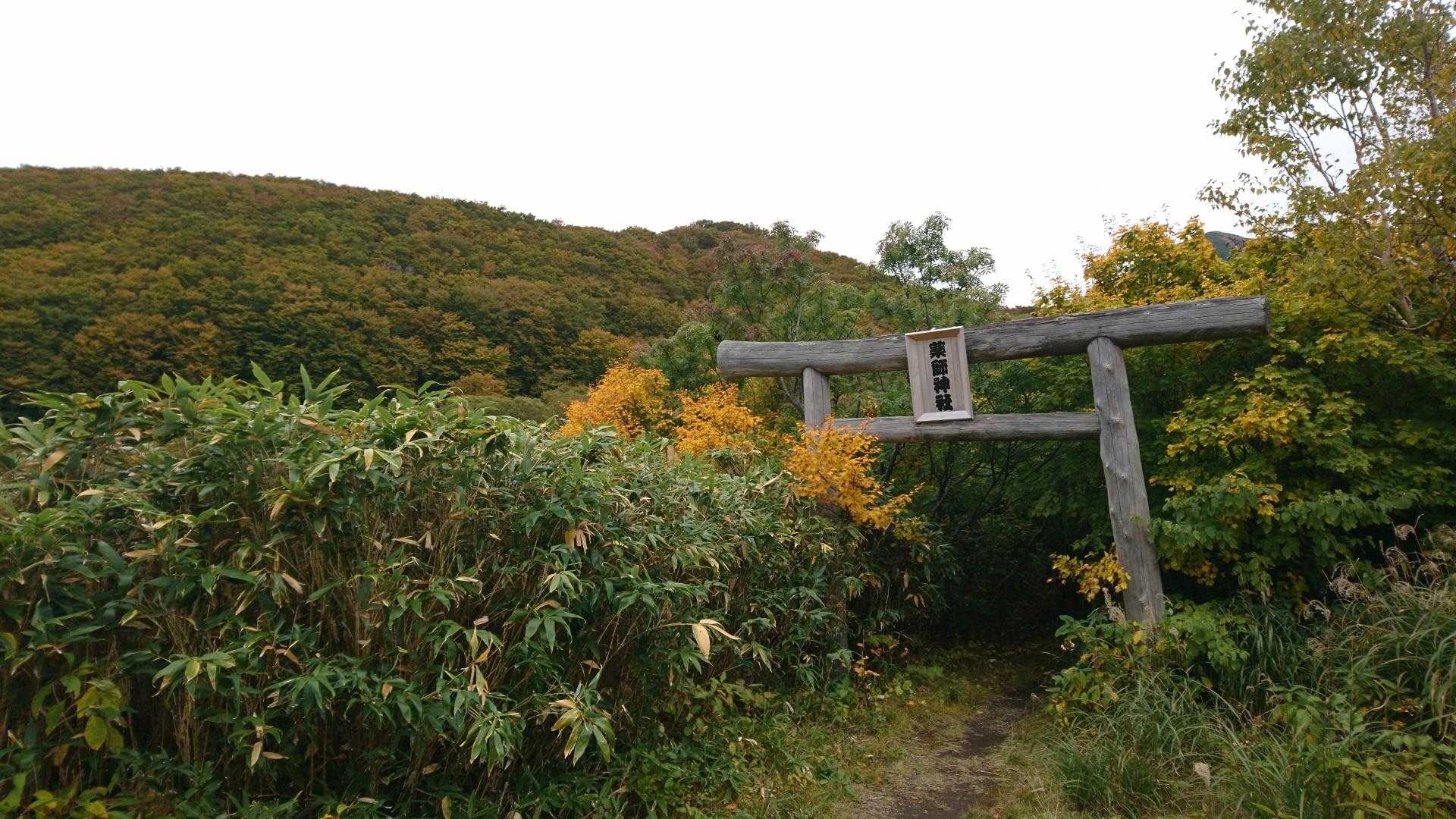 ただいま
