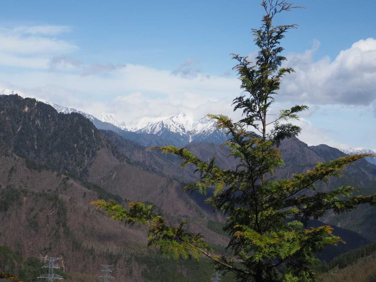 爺ヶ岳