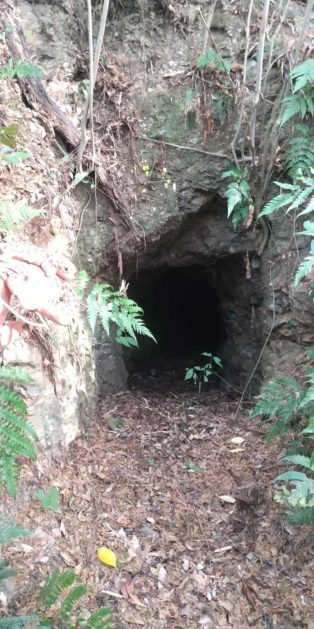 ？防空壕跡？