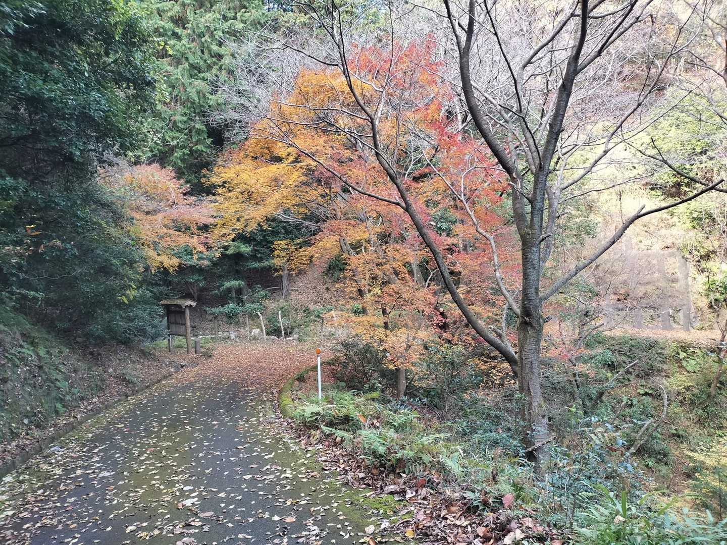 羽沢 周回コースの写真