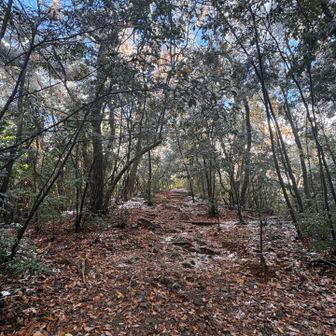雨みたいにずっと降ってる