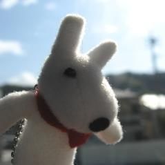 tacchan@shiromi_sakana