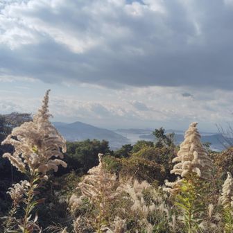 怪しい雲はあるけれど☔まだまだ大丈夫そう…山頂でまったりタイム。