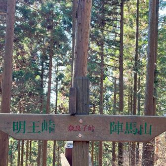 大好きな標識。フォント、色とも完璧✨