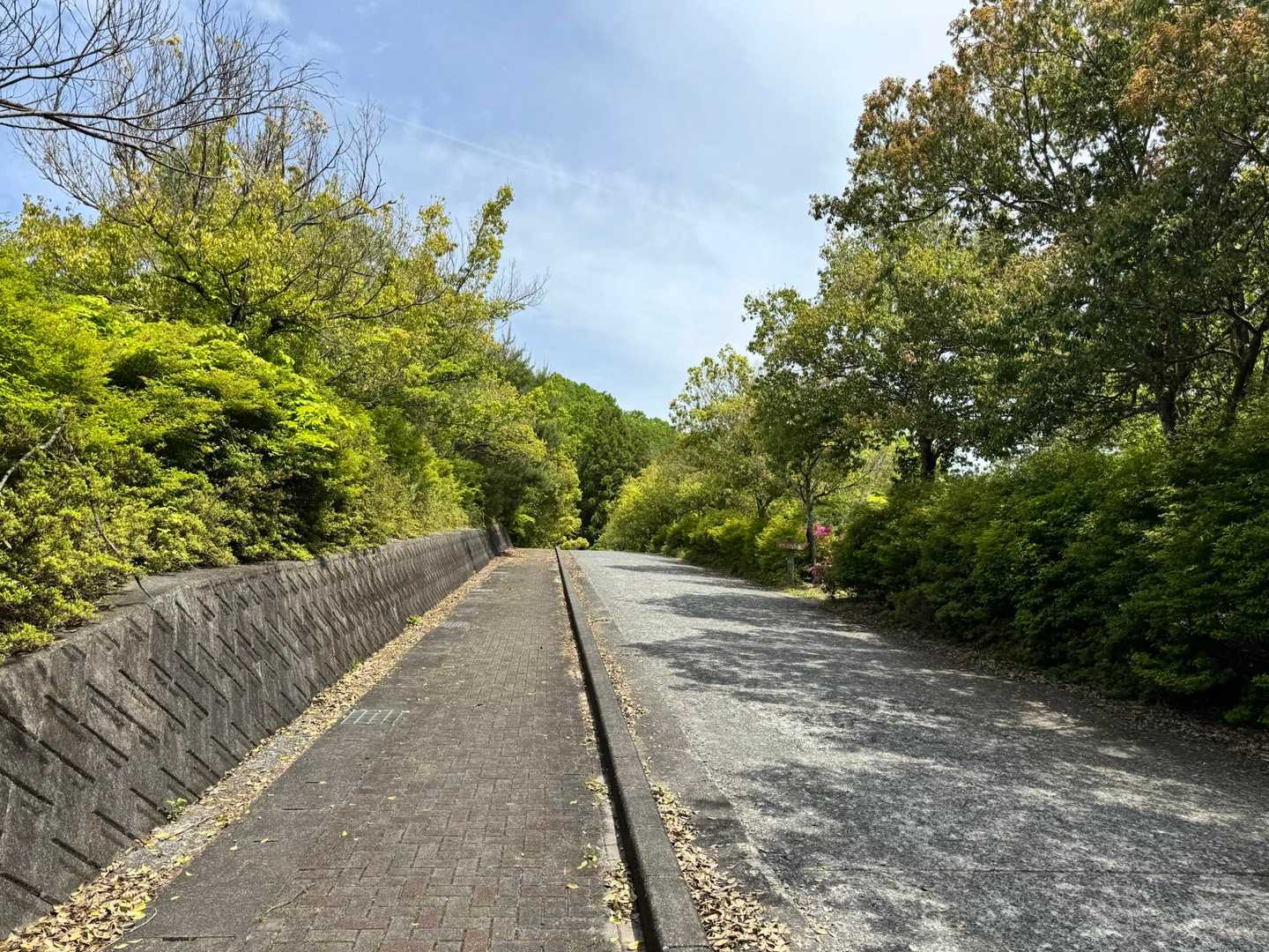 日向山 往復コースの写真