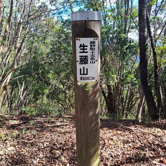 こちらは神奈川県側の山頂標識