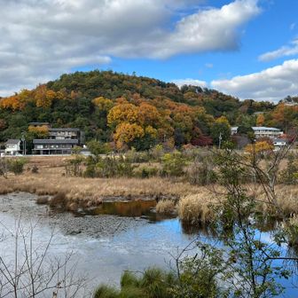 最終氷期からの生き残りとされる生物と😳温暖地に生息する生物が共存しており😳学術的にも貴重な池として著名なんだそうです。