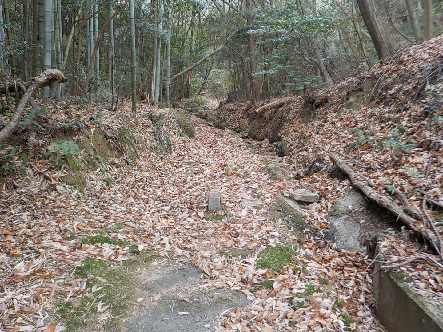 ここから登山口